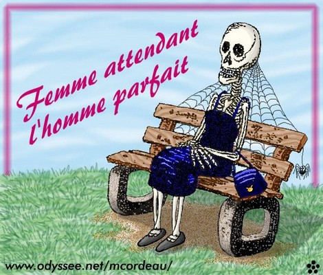 femme-parfaite-87a3d1.jpg