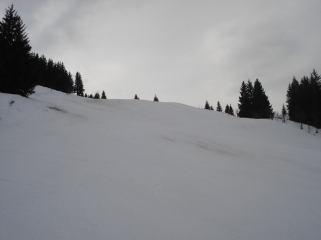 Chevreuil / Megève Jaillet Dsc03903-8563ef