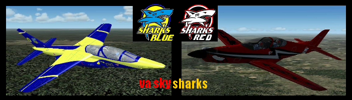 VA Sky Sharks
