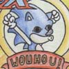 http://img47.xooimage.com/files/4/3/0/sonic-795721.jpg