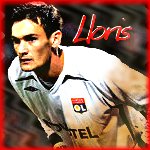 http://img47.xooimage.com/files/5/6/d/lloris-9fce2f.jpg