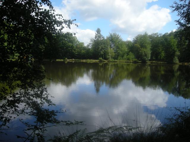 Pêche en haute vienne, la bénéchie ( cussac, chalut) Photo-341-121f4f0