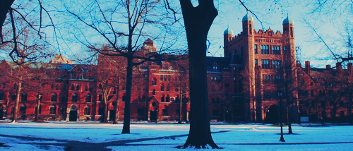 Image: 01-c7f048.png