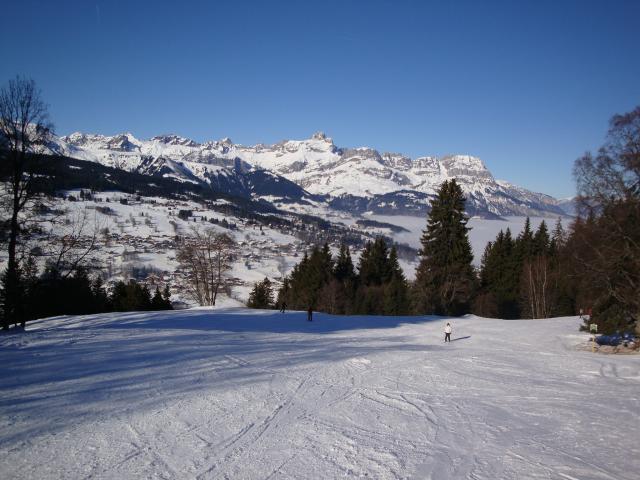 Grand bois; Megève Mont d'arbois Dsc00571-96072f