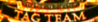 World Tag Team Champion