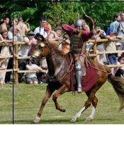 fabricius
