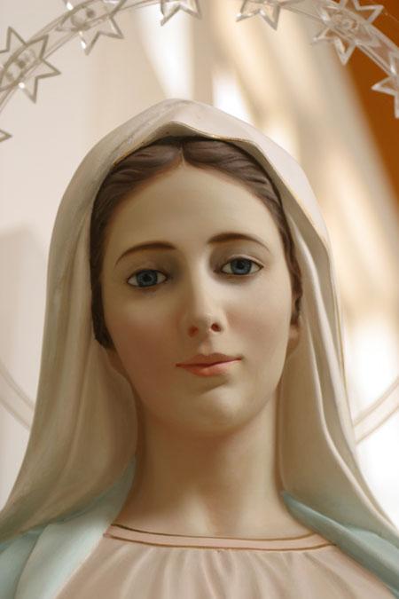 belle-vierge-Marie-flora