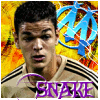 http://img47.xooimage.com/files/7/9/7/snake1-89d579.gif