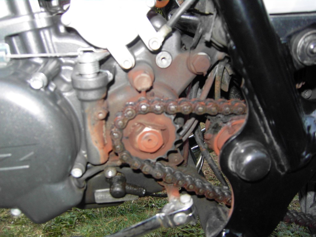 sdc10676-c91c41.jpg