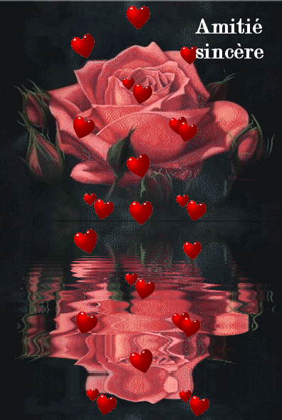 rose-fleur-coeur-message-de-riverdance-flora