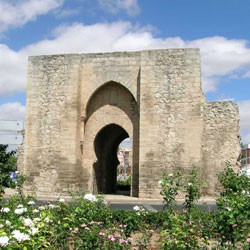 http://img47.xooimage.com/files/a/f/6/puerta-de-toledo-..._250x250-1b72f49.jpg