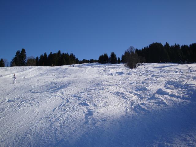 Grand bois; Megève Mont d'arbois Dsc00568-9606c7