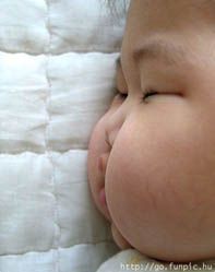http://img47.xooimage.com/files/b/d/9/tete-dans-cul-17b7231.jpg