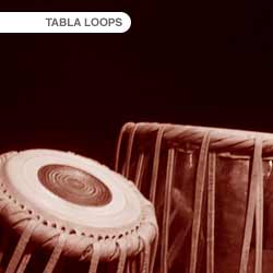 ToneHammer Tablas v1 Loops MULTIFORMAT ToneHammer Tablas v1 Loops MULTIFORMAT