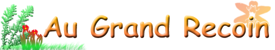 AU GRAND RECOIN Forum Index