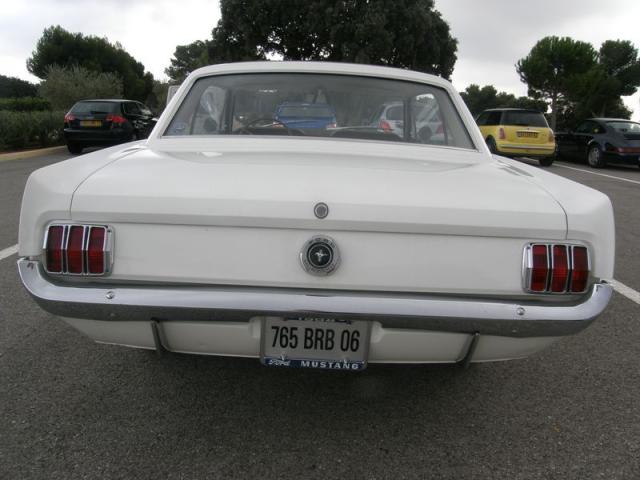http://img47.xooimage.com/files/e/c/b/pb010027-p--150b5d9.jpg