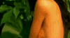 FLOOD LAND LE SEUL & UNIQUE Ashley-greene-wea...ero-hd-2-1783f95