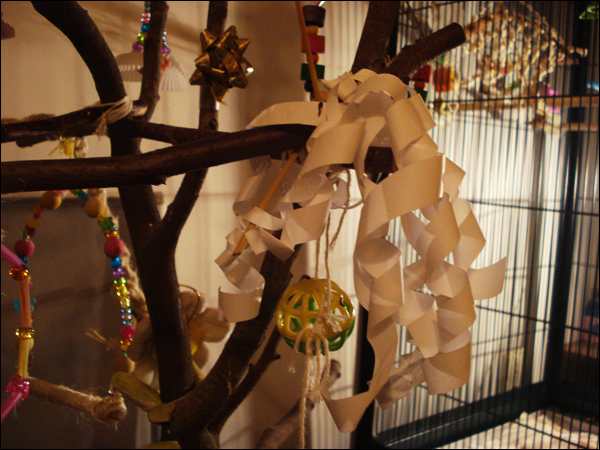 Image: dsc02761-7f526f.jpg